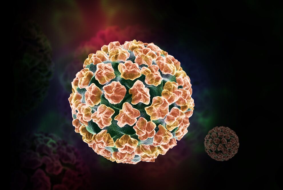 papillomavirus daonna sa chorp